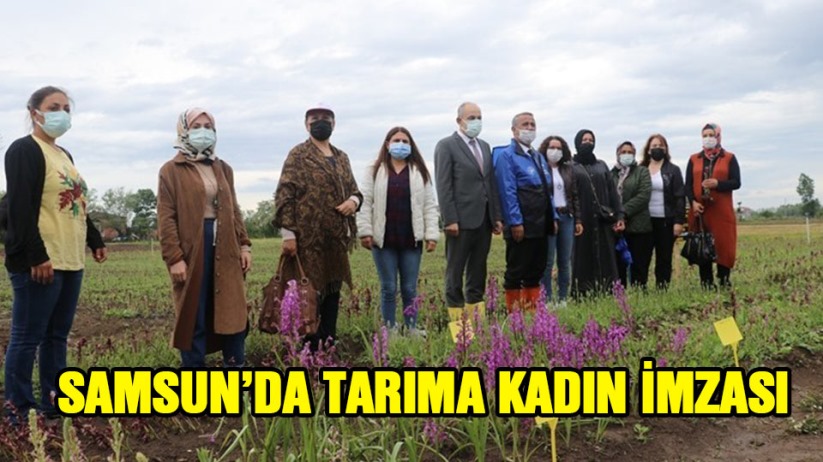 Samsun'da tarıma kadın imzası