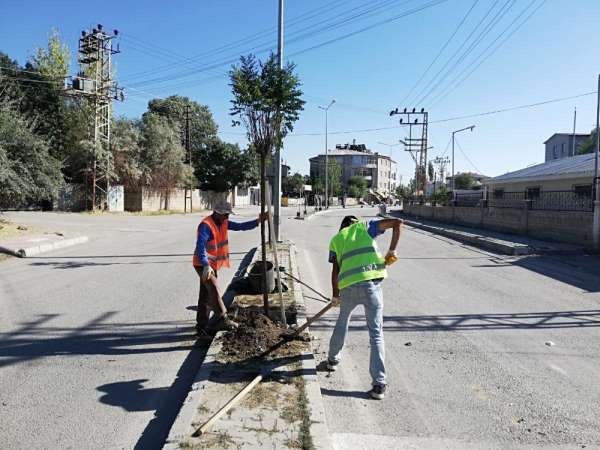 İpekyolu Belediyesinden ağaç dikimi 