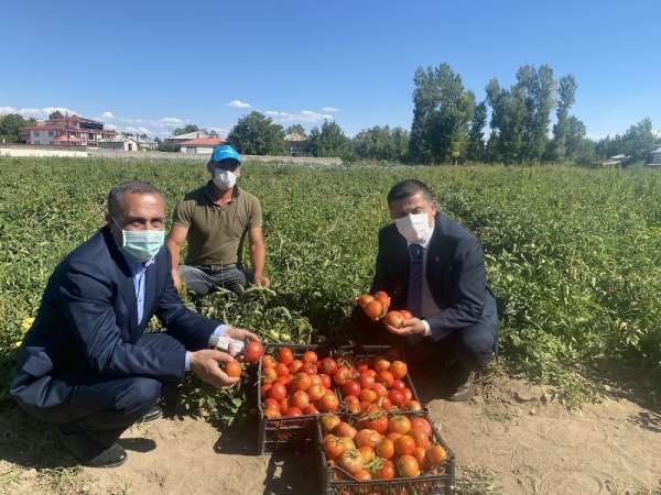 Milletvekili Arvas çiftçileri tarlada ziyaret etti 