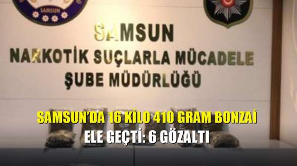 Samsun'da 16 kilo 410 gram bonzai ele geçti: 6 gözaltı 