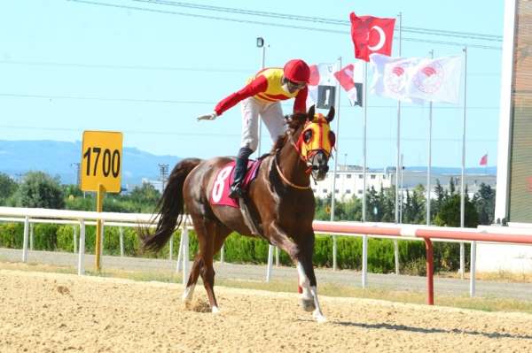 'Gümbürgümbür' kupa sevinci 