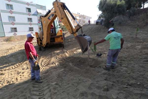 Turgutlu Belediyesi ekiplerinden yol ve ağaçlandırma çalışması 