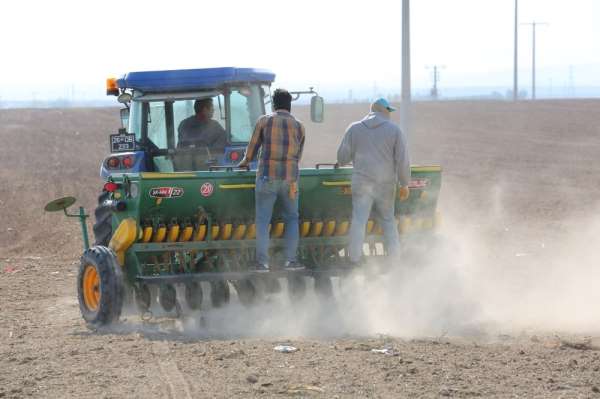 Odunpazarı Belediyesi'nin 650 dekarlık tarım arazisinde arpa ekimine başladı 