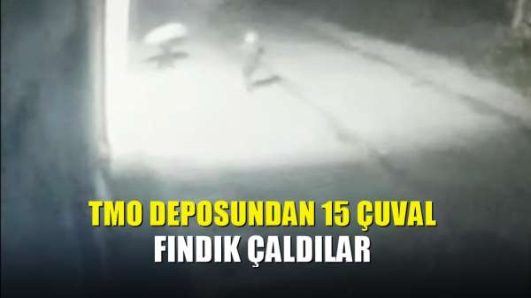 TMO deposundan 15 çuval fındık çaldılar 