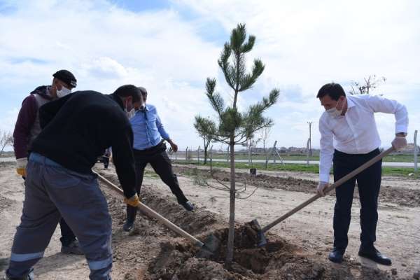 Karatay Belediyesi'nin 'Yeşil Seferberliği' 2021 yılında da sürecek 