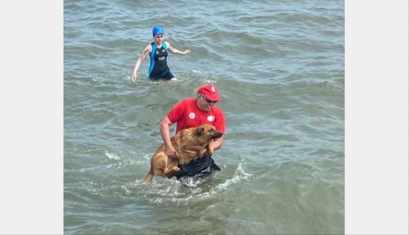 Ordu'daki triatlon yarışlarında ilginç olay