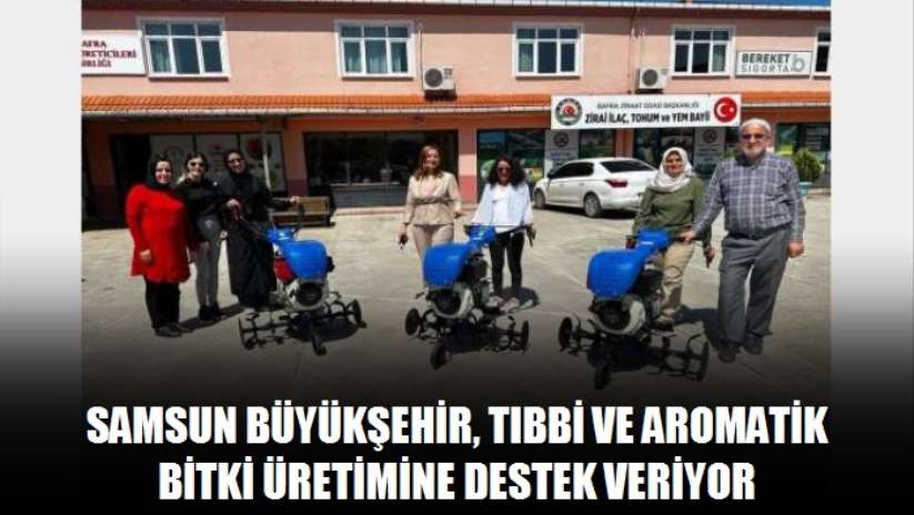Samsun Büyükşehir, tıbbi ve aromatik bitki üretimine destek veriyor