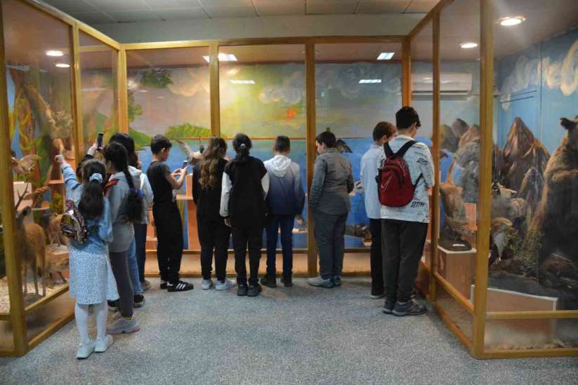 Doldurulmuş hayvan müzesi öğrencilerin ilgisini çekti