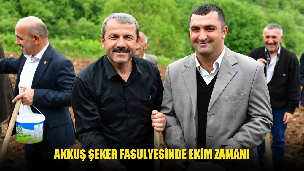 Akkuş Şeker Fasulyesinde Ekim Zamanı