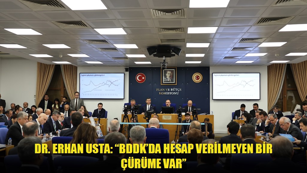 Dr ERHAN USTA: BDDKDA HESAP VERİLMEYEN BİR ÇÜRÜME VAR