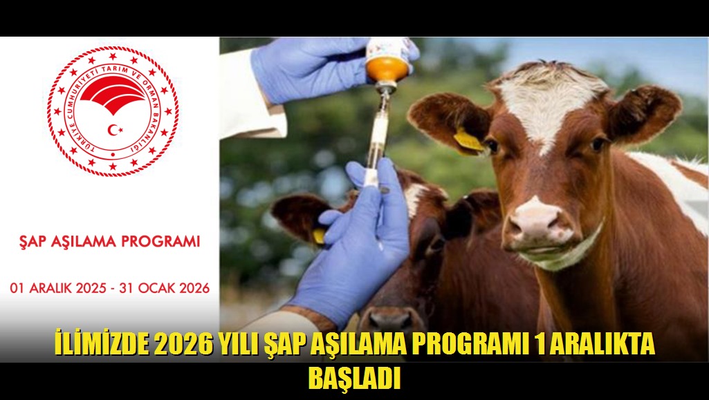 İlimizde 2026 Yılı Şap Aşılama Programı 1 Aralıkta Başladı