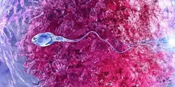 Tüp Bebek Tedavisi Nedir?