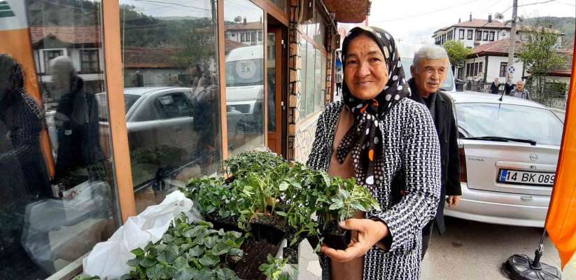 Bolu'da 10 bin fideye yoğun talep
