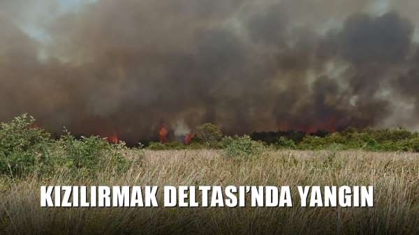 Kızılırmak Deltası'nda yangın - Samsun haber