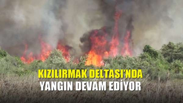 Kızılırmak Deltası'nda yangın devam ediyor - Samsun haber