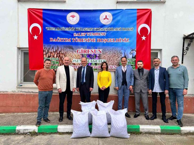 Giresun'da fındığa ek gelir için salep tohumu dağıtıldı