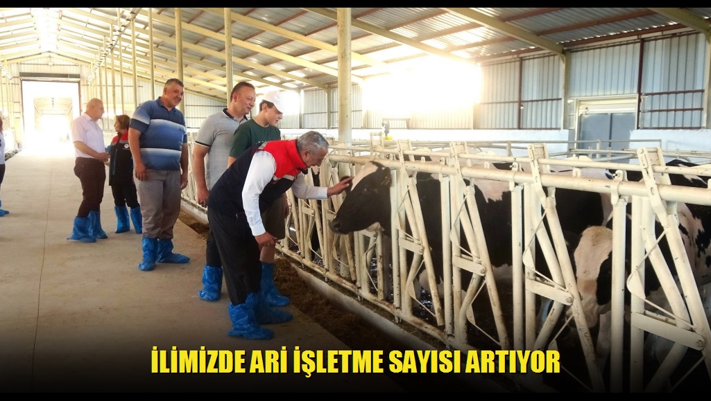 İlimizde Ari İşletme Sayısı Artıyor