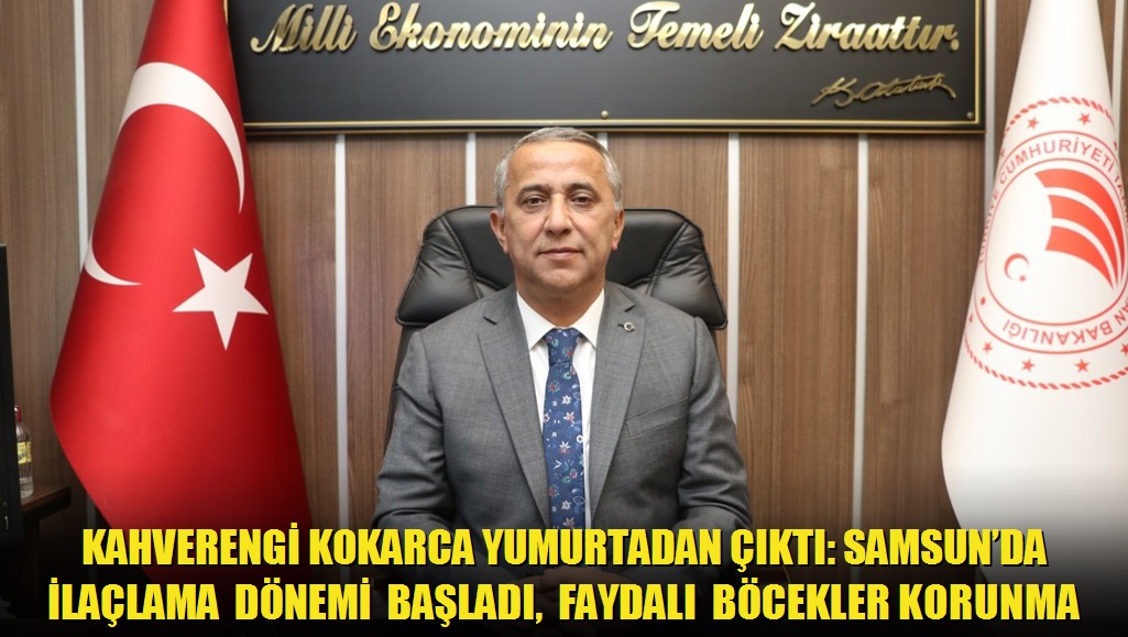 Kahverengi Kokarca Yumurtadan Çıktı: Samsunda İlaçlama Dönemi Başladı, Faydalı Böcekler Korunmalı