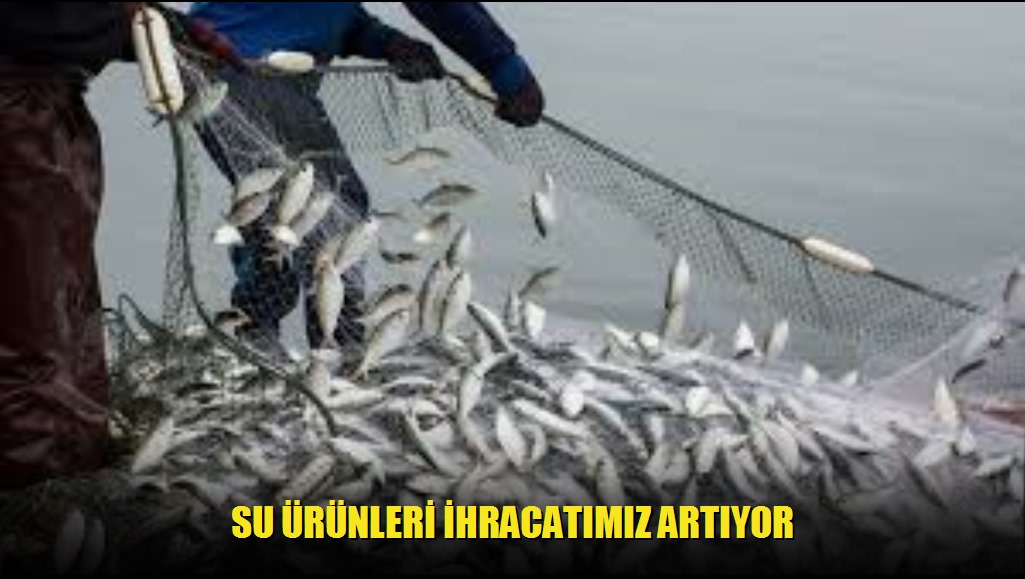 Su Ürünleri İhracatımız Artıyor
