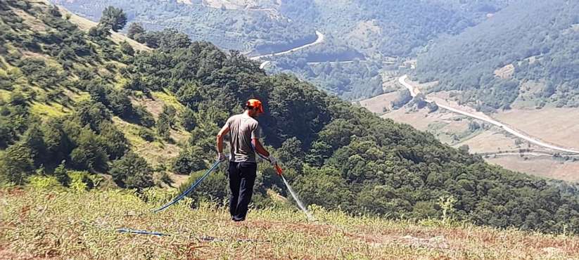 CANİK İLÇESİNDE ÇEKİRGE YOĞUNLUĞUNA KARŞI İLAÇLAMA YAPILDI.
