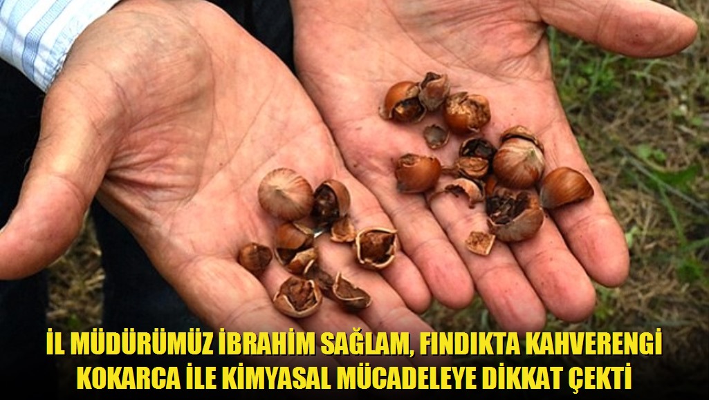 İl Müdürümüz İbrahim Sağlam, Fındıkta Kahverengi Kokarca ile Kimyasal Mücadeleye Dikkat Çekti
