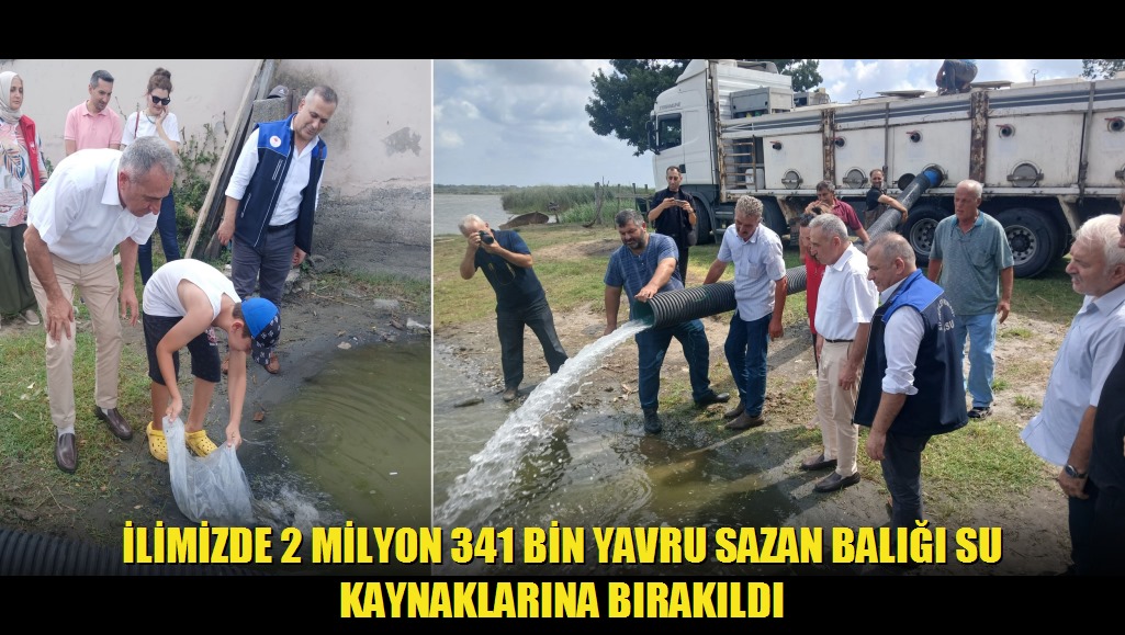 İlimizde 2 Milyon 341 Bin Yavru Sazan Balığı Su Kaynaklarına Bırakıldı