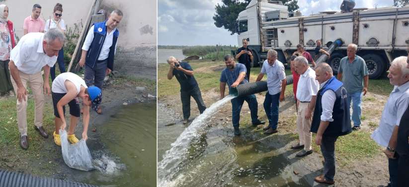 İlimizde 2 Milyon 341 Bin Yavru Sazan Balığı Su Kaynaklarına Bırakıldı