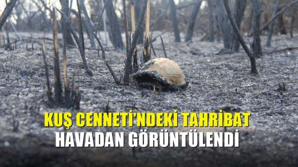 Kuş Cenneti'ndeki tahribat havadan görüntülendi 