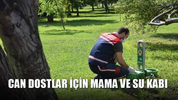 Can dostlar için mama ve su kabı 