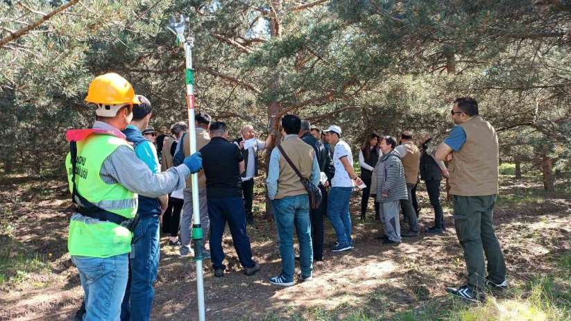 5 farklı ülkeden gelen temsilciler Kastamonu'daki tohum bahçelerini gezdi