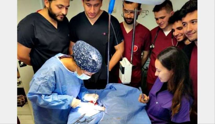 Kastamonu'da hayvan hastanesi, hizmet vermeye başladı
