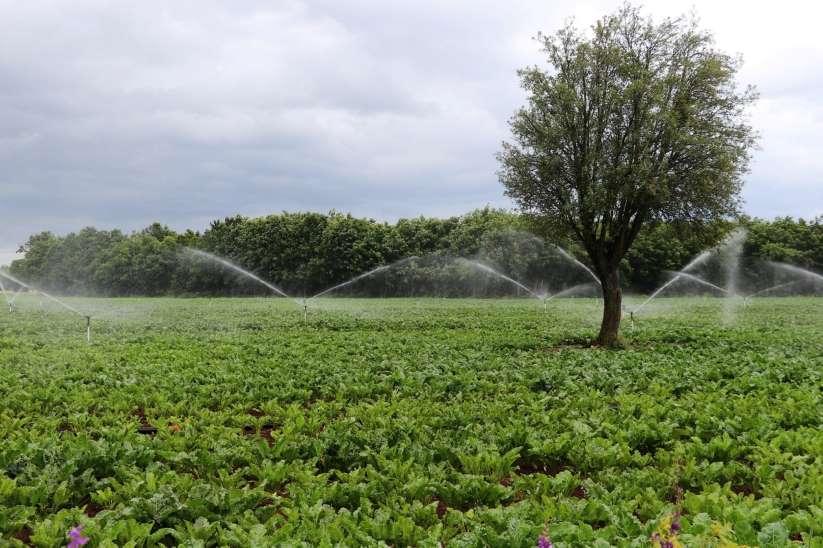 Konulu Eğitim Toplantısı ve Uygulaması Gerçekleştirildi.