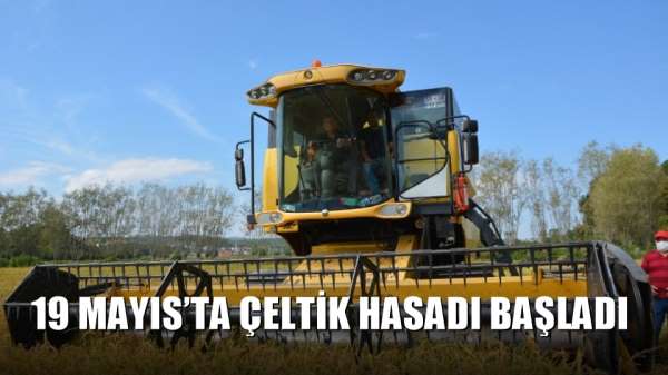 19 Mayıs'ta çeltik hasadı başladı 