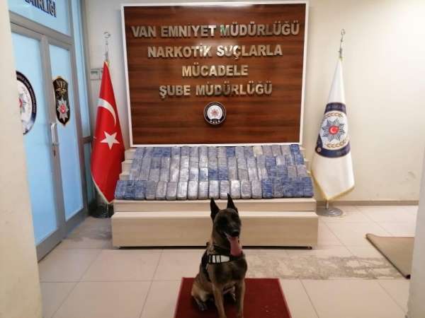 Spor çanta içerisindeki 74 kilo eroin Oscar'a takıldı 