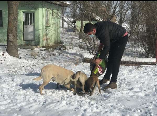 Dumlupınar Belediyesi sokak hayvanlarını unutmadı 