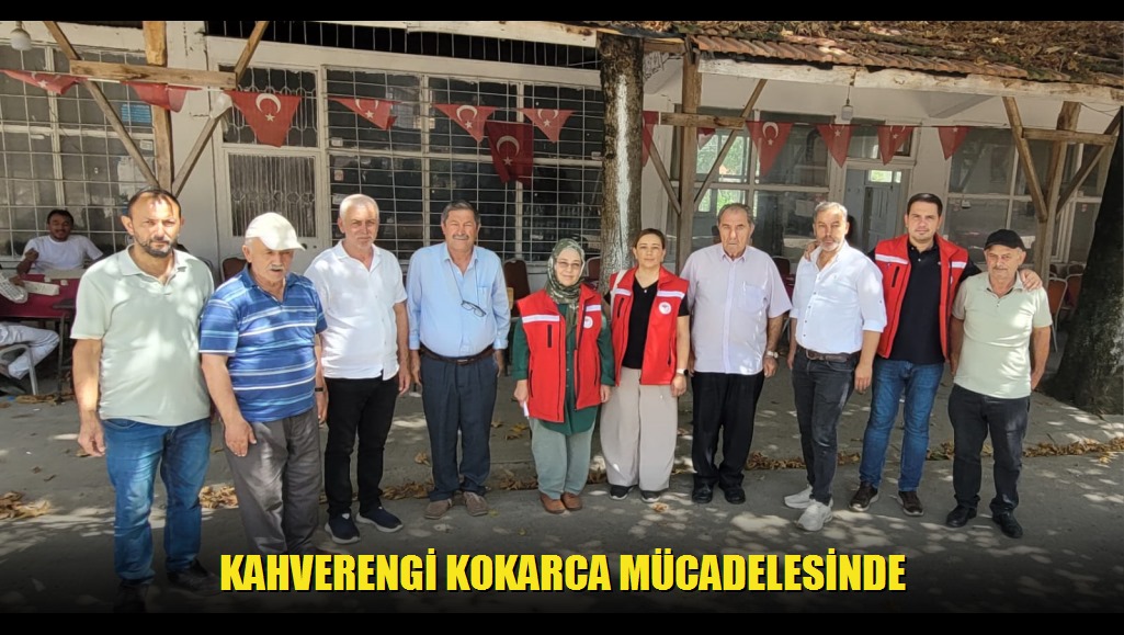 Kahverengi Kokarca Mücadelesinde