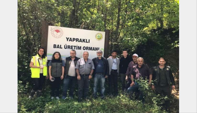 Türkeli'de 'avcı böcekler' iş başında