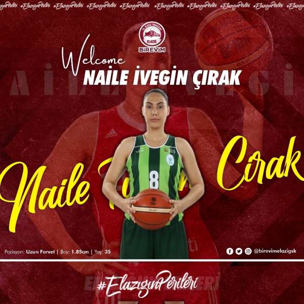 Naile İvegin Çırak, Elazığ İl Özel İdare'de 