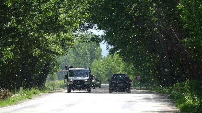 Doğal güzelliyle mest eden yol, sürücüler için tehlike saçıyor