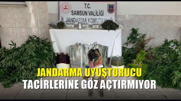 Jandarma uyuşturucu tacirlerine göz açtırmıyor 