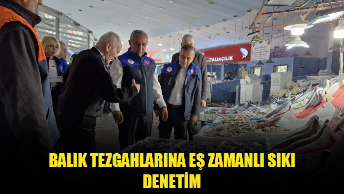 BALIK TEZGAHLARINA EŞ ZAMANLI SIKI DENETİM