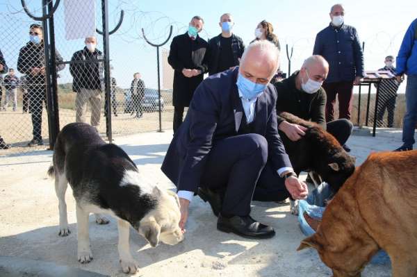Akdeniz Belediyesi, Adanalıoğlu'nda sokak hayvanları için korunaklı alan yaptı 