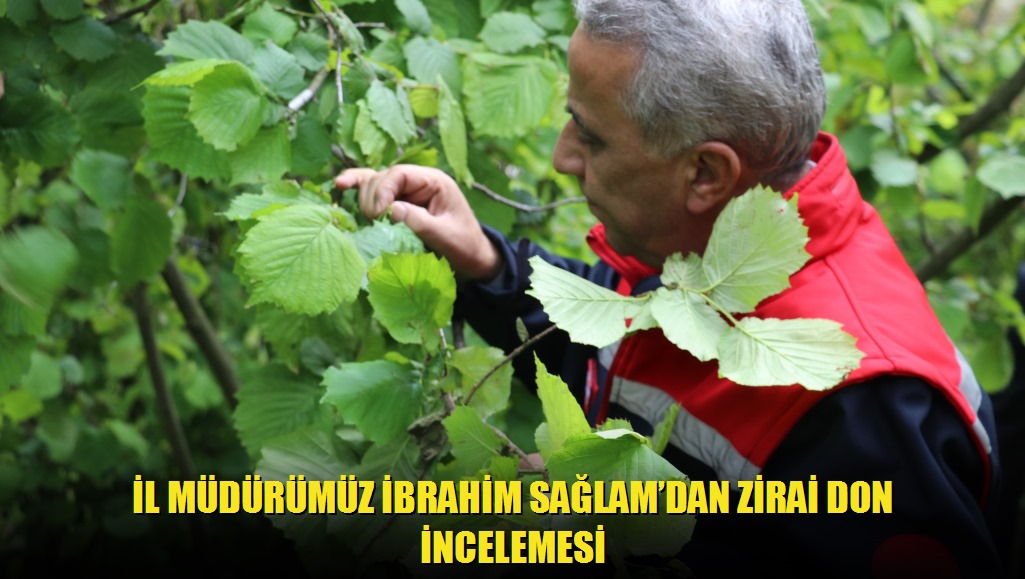 İl Müdürümüz İbrahim Sağlam'dan Zirai Don İncelemesi