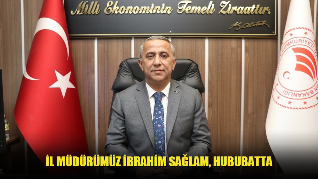 İl Müdürümüz İbrahim Sağlam, Hububatta