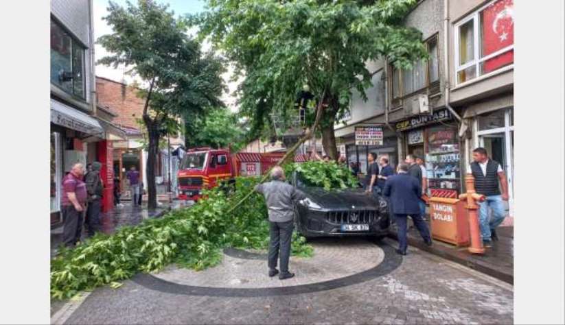 Şiddetli rüzgarda kırılan ağaç dalı, lüks otomobilin üzerine düştü