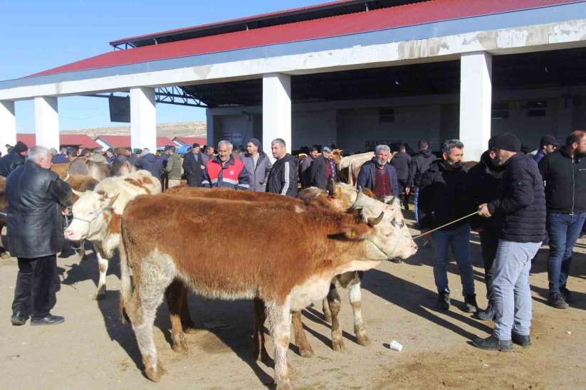 Bayburt'ta Kurban Bayramı heyecanı