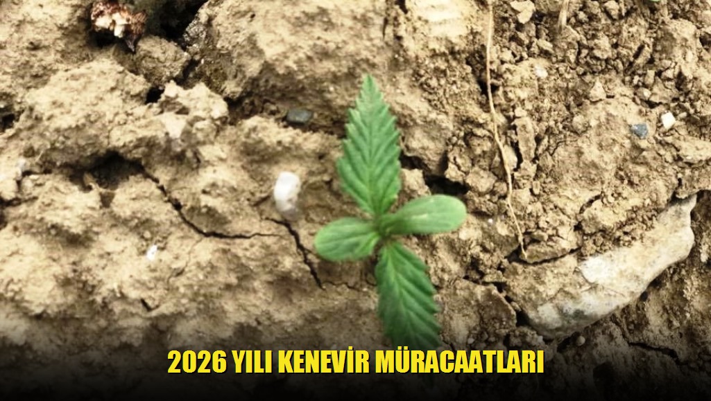2026 Yılı Kenevir Müracaatları