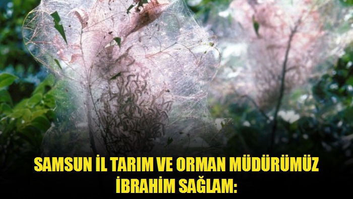 Samsun İl Tarım ve Orman Müdürümüz İbrahim Sağlam: