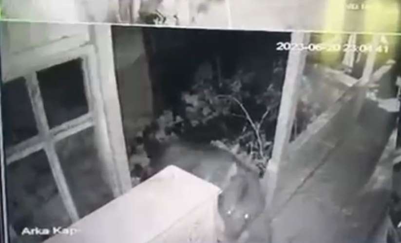 Ev girmeye çalışan ayı güvenlik kamerasına yansıdı - Artvin haber
