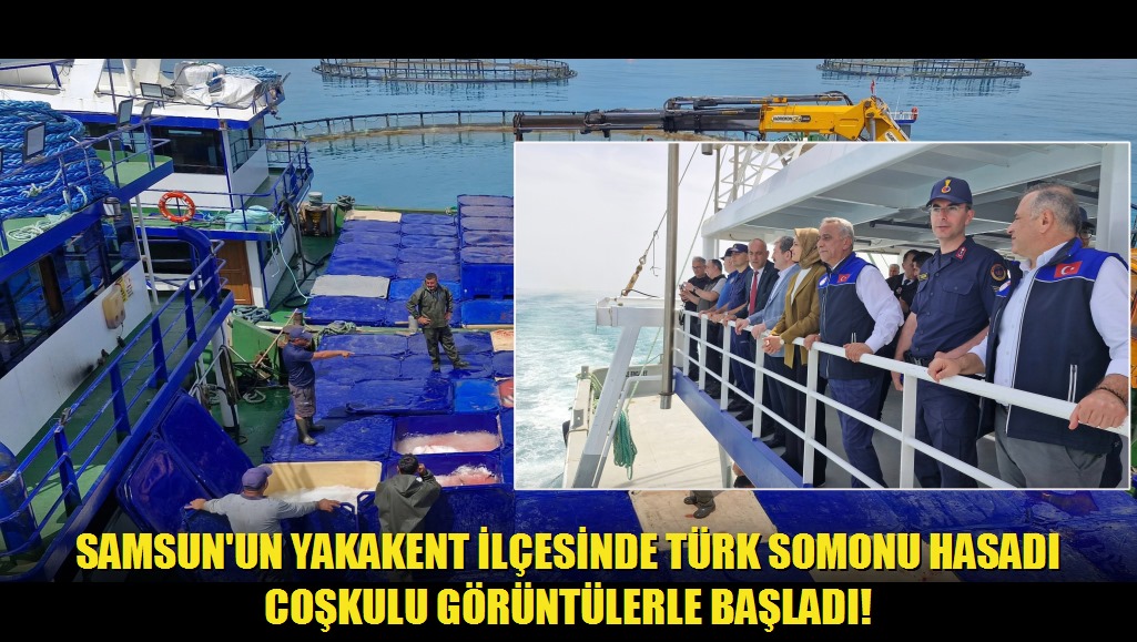 Samsun'un Yakakent ilçesinde Türk somonu hasadı coşkulu görüntülerle başladı!